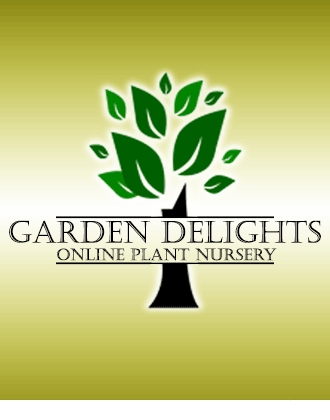 Garden Delights Online Plant Nursery