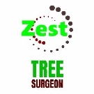 Zest Tree Surgeon