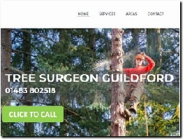 https://www.treesurgeoninguildford.co.uk website