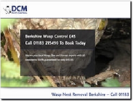 http://www.wasp-nest-removal-berkshire.co.uk/ website