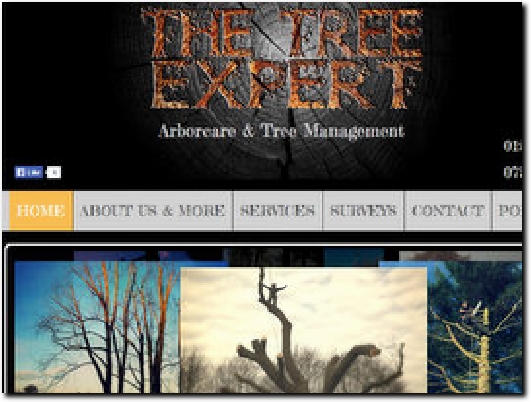 http://www.the-tree-expert.co.uk website