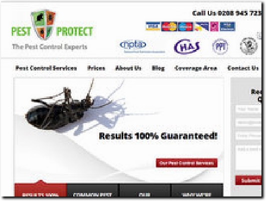 http://www.pest-protect.co.uk website