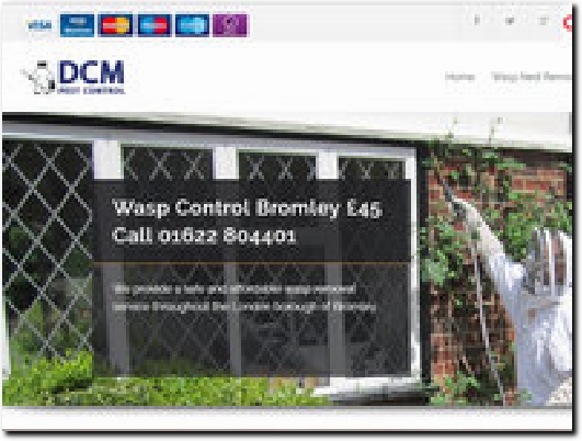 http://www.kentwaspnestremoval.co.uk/wasp-nest-removal/bromley/ website