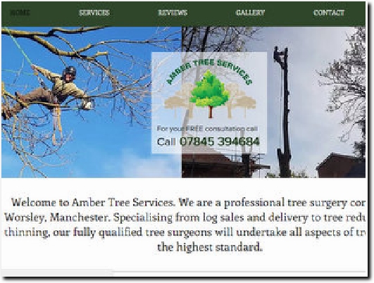 http://ambertreeservices.com website